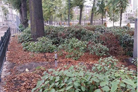 LoRa Bodemvochtmeetnet Den Haag peilbuis