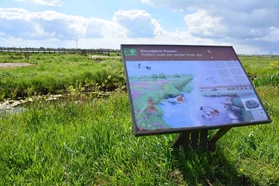 HHRS Rijnland Waterverdamping Lysimeter Reeuwijkse Plassen