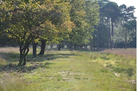 Waterschap Groot Salland omgeving