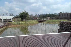 Asian Facility Project lake in park