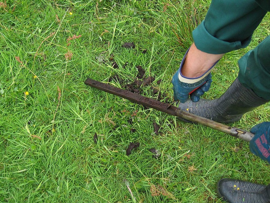 Gouge auger with soil sample