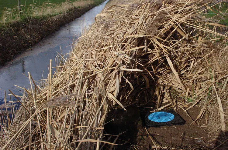 Monitoring well by the riverside