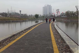 Asian Facility Project park