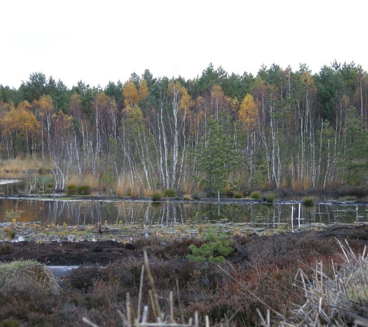Royal Eijkelkamp Baltic bogs groundwater monitoring