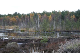 Royal Eijkelkamp Baltic bogs groundwater monitoring