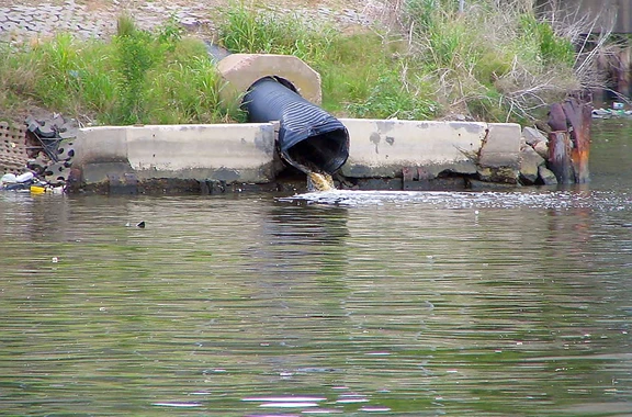 Integrated Nutrient Pollution Control Project Roemenië